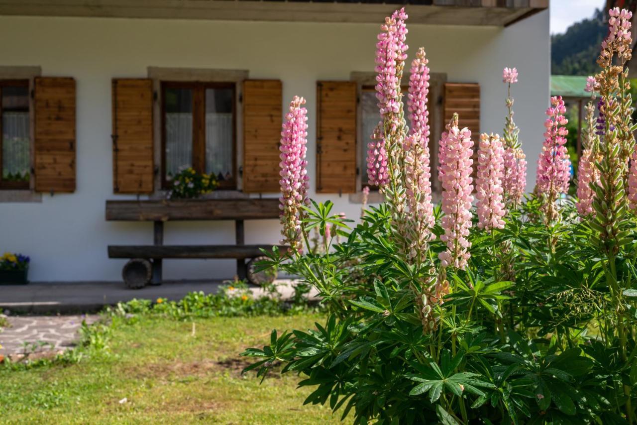 La Gerla Casa Vacanze Dolomiti Hotel Perarolo di Cadore Exterior foto